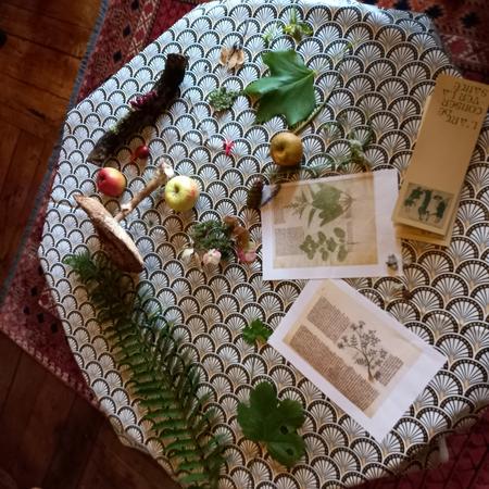 (image : Ondine Cloez) (image : Ondine Cloez)